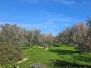 Milatos Kreta, Milatos: Baugrundstück im Zentrum in Meeresnähe zu verkaufen Grundstück kaufen